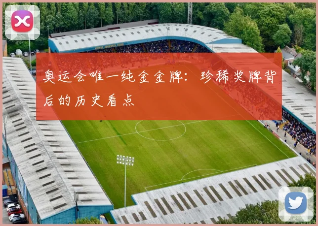 奥运会唯一纯金金牌:珍稀奖牌背后的历史看点