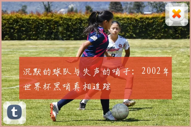 沉默的球队与失声的哨子:2002年世界杯黑哨真相追踪
